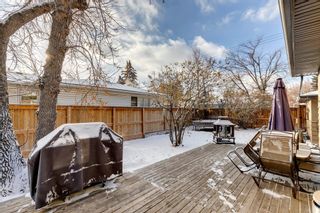 Photo 41: 3803 25 Avenue SW in Calgary: Glendale Detached for sale : MLS®# A2014172