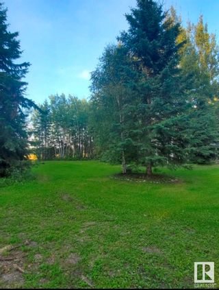 Photo 9: rr 1 twp rd 462: Rural Wetaskiwin County Vacant Lot/Land for sale : MLS®# E4318375
