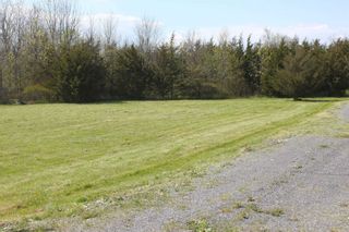 Photo 9: Pt Lot County Rd 15 in Prince Edward County: Sophiasburgh Property for sale : MLS®# X5225157