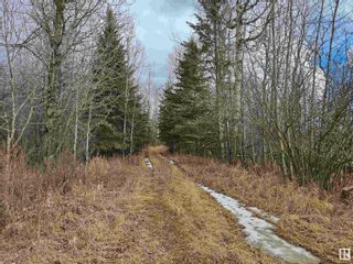 Main Photo: Rge rd 195 & Twp Rd 544: Rural Lamont County Vacant Lot/Land for sale : MLS®# E4379323