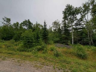 Photo 4: Lot 12 Fundy Bay Drive in Victoria Harbour: 404-Kings County Vacant Land for sale (Annapolis Valley)  : MLS®# 202119692