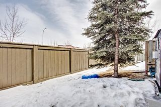 Photo 17: 13 102 Canoe Square SW: Airdrie Row/Townhouse for sale : MLS®# A1239784
