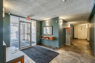 Photo 4: 230 930 Centre Avenue NE in Calgary: Bridgeland/Riverside Apartment for sale : MLS®# A2009779