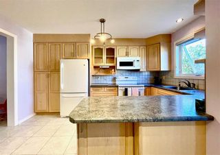 Photo 13: 239 St Anthony Avenue in Winnipeg: West Kildonan Residential for sale (4D)  : MLS®# 202330312