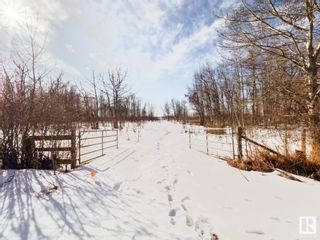 Photo 3: RR 260 Township Rd. 480: Rural Leduc County Vacant Lot/Land for sale : MLS®# E4332197