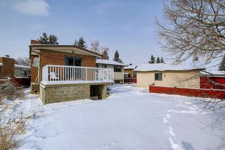 Photo 44: 56 Rundlefield Close NE in Calgary: Rundle Detached for sale : MLS®# A1184908