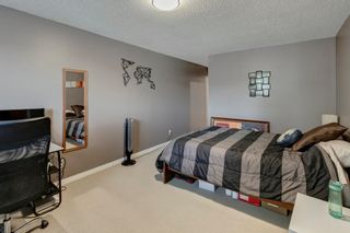 Photo 11: 4819 22 Avenue NW in Calgary: Montgomery Detached for sale : MLS®# A2053112