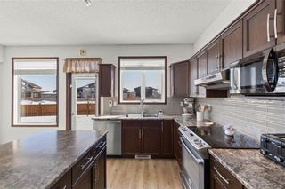Photo 14: 176 Blue Sun Drive in Winnipeg: Sage Creek Residential for sale (2K)  : MLS®# 202304878