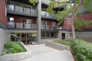Photo 2: 202 1915 26 Street SW in Calgary: Killarney/Glengarry Apartment for sale : MLS®# A2017761