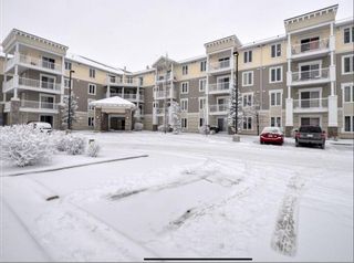 Photo 1: 2214 1140 Taradale Drive NE in Calgary: Taradale Apartment for sale : MLS®# A2108787