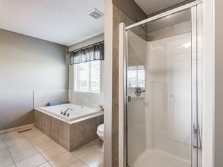 Photo 18: 415 Coopers Drive SW: Airdrie Detached for sale : MLS®# A1043471