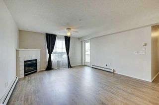Photo 24: 5309 604 8 Street SW: Airdrie Apartment for sale : MLS®# A2125479