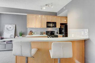 Photo 5: 218 930 Centre Avenue NE in Calgary: Bridgeland/Riverside Apartment for sale : MLS®# A2033102