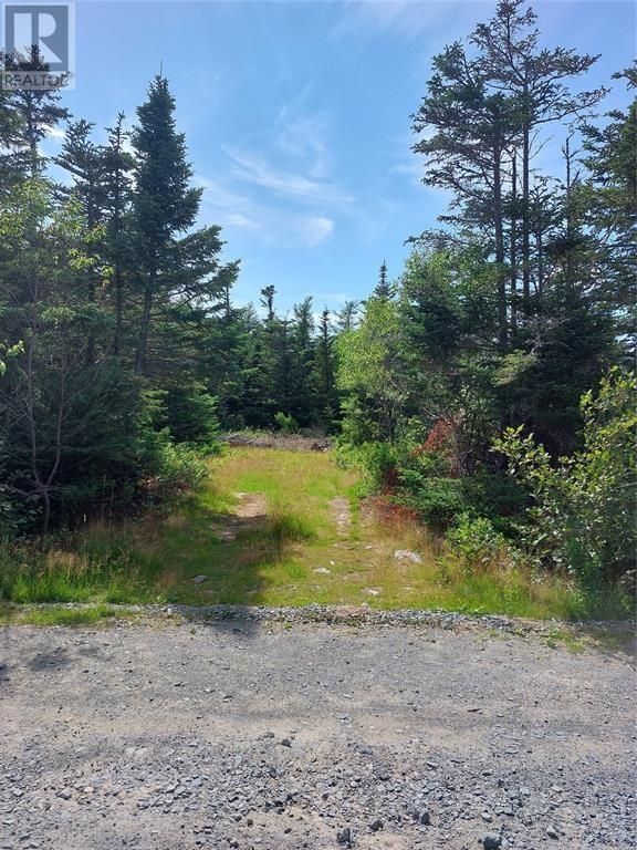 Main Photo: 78-82 and 86-90a Larch Grove Road in Conception Bay South: Vacant Land for sale : MLS®# 1257016