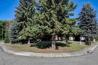 Photo 47: 356 96 Avenue SE in Calgary: Acadia Detached for sale : MLS®# A2083787