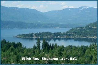 Photo 25: Lot 49 Forest Drive: Blind Bay Vacant Land for sale (Shuswap Lake)  : MLS®# 10217653