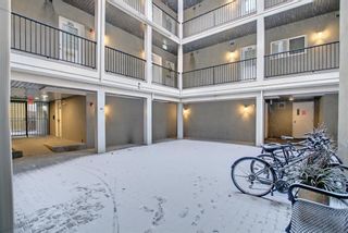 Photo 37: 205 1108 15 Street SW in Calgary: Sunalta Apartment for sale : MLS®# A1166012