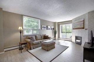 Photo 16: 305 220 26 Avenue SW in Calgary: Mission Apartment for sale : MLS®# A1037126