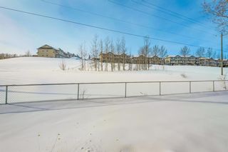 Photo 1: 101 2000 Citadel Meadow Point NW in Calgary: Citadel Apartment for sale : MLS®# A2035839