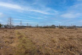 Photo 7: 3250 264 Street in Langley: Aldergrove Langley Agri-Business for sale : MLS®# C8049646