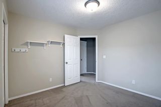 Photo 34: 54 Springborough Point SW in Calgary: Springbank Hill Detached for sale : MLS®# A1227826