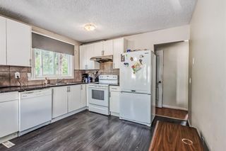 Photo 7: 205 Pineset Place NE in Calgary: Pineridge Semi Detached (Half Duplex) for sale : MLS®# A2052172