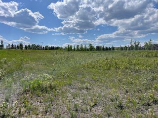 Photo 16: 3 Shannon Mews: Rural Foothills County Residential Land for sale : MLS®# A2053754