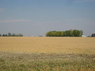 Photo 4: SE 20 30 1 W5 Highway 2A: Carstairs Residential Land for sale : MLS®# A1067588