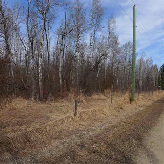 Photo 23: 515 54411 RR 40: Rural Lac Ste. Anne County Rural Land/Vacant Lot for sale : MLS®# E4239945
