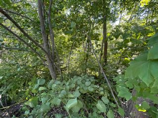 Photo 6: Lot 21-1 Seaview Cemetary Road in Bay View: 108-Rural Pictou County Vacant Land for sale (Northern Region)  : MLS®# 202219438
