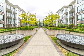 Photo 15: 339 9333 TOMICKI Avenue in Richmond: West Cambie Condo for sale in "OMEGA" : MLS®# R2278647
