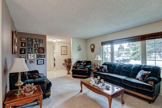 Photo 7: 87 Mardale Crescent NE in Calgary: Marlborough Detached for sale : MLS®# A1214099