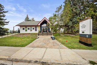 Photo 41: 918 4 Street SW: High River Detached for sale : MLS®# A2076772