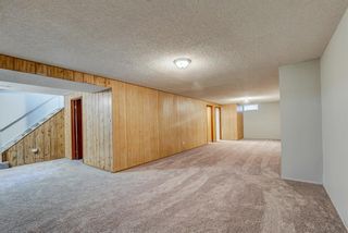 Photo 20: 236 QUEEN CHARLOTTE Way SE in Calgary: Queensland Detached for sale : MLS®# A1025137