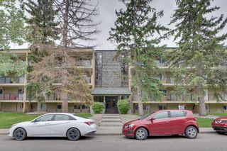 Photo 1: #104 617 56 Avenue SW in Calgary: Windsor Park Apartment for sale : MLS®# A2142140
