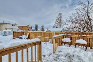 Photo 23: 31 martinview Crescent NE in Calgary: Martindale Detached for sale : MLS®# A2021327