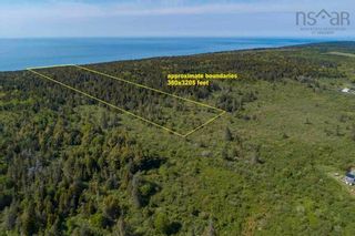 Photo 8: Lot 2 Highway 317 in Central Grove: Digby County Vacant Land for sale (Annapolis Valley)  : MLS®# 202304340