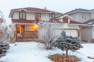 Photo 2: 44 Applewood Court SE in Calgary: Applewood Park Detached for sale : MLS®# A2053043