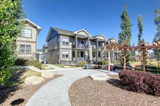 Main Photo: 24 Evanscrest Gardens NW in Calgary: Evanston Row/Townhouse for sale : MLS®# A1258554