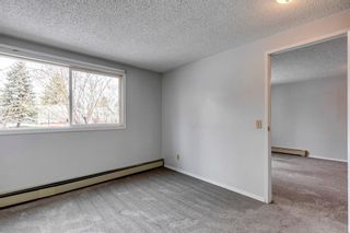 Photo 10: 110 280 Banister Drive: Okotoks Apartment for sale : MLS®# A2128088