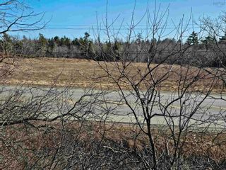 Photo 6: 5180 HIGHWAY 4 in Alma: 108-Rural Pictou County Vacant Land for sale (Northern Region)  : MLS®# 202406624