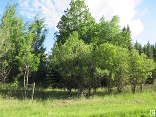 Photo 2: RR 223 Twp Rd 612: Rural Thorhild County Rural Land/Vacant Lot for sale : MLS®# E4299650