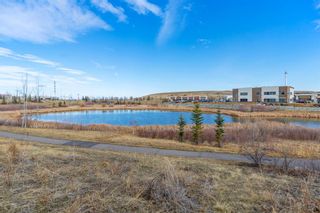 Photo 47: 217 Walden Square SE in Calgary: Walden Detached for sale : MLS®# A1208615