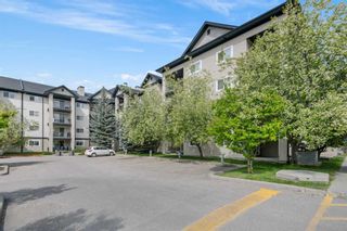 Main Photo: 1405 4975 130 Avenue SE in Calgary: McKenzie Towne Apartment for sale : MLS®# A2135587