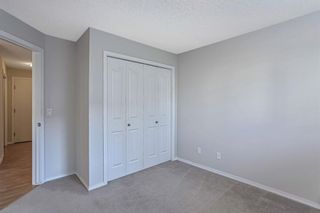 Photo 18: 1203 10 Prestwick Bay SE in Calgary: McKenzie Towne Apartment for sale : MLS®# A1041137