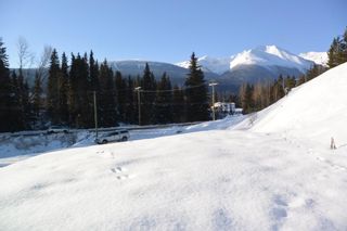 Photo 19: LOT A W 16 Highway in Smithers: Smithers - Town Land for sale (Smithers And Area (Zone 54))  : MLS®# R2533470