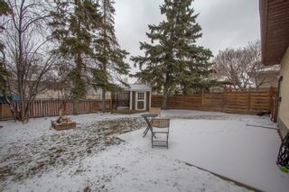 Photo 46: 124 Pineland Place NE in Calgary: Pineridge Detached for sale : MLS®# A1206997