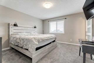 Photo 17: 358 Coopers Drive SW: Airdrie Detached for sale : MLS®# A2080022