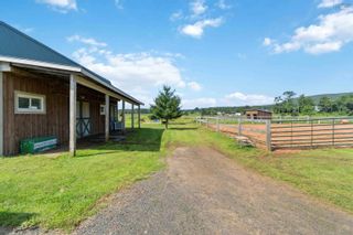 Photo 41: 1654 Clarence Road in Clarence: Annapolis County Farm for sale (Annapolis Valley)  : MLS®# 202319753