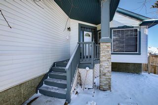 Photo 42: 123 COVE Drive: Chestermere Detached for sale : MLS®# A1184904